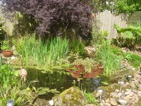 A.G.Landscap and Property Services 1122436 Image 7