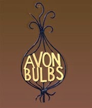 Avon Bulbs 1118207 Image 7