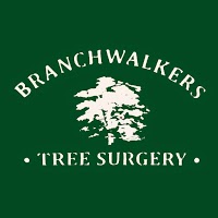 Branchwalkers Tree Surgery Ltd 1104988 Image 3