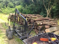 Cut N Clear Ltd   Forestry Contractors 1119527 Image 1