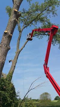 ETM Forestry and Tree Services 1125827 Image 7