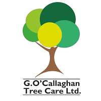 G OCallaghan Tree Care Ltd 1104964 Image 2