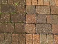Gardencare and Patio Cleaning 1123999 Image 0