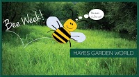 Hayes Garden World 1119738 Image 8