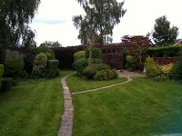 Leicester Gardener 1126228 Image 0