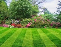 Lincs Garden and Grass Care 1103701 Image 4