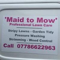 Maid to Mow 1107724 Image 3