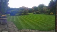 Mr Marvs Gardening and Landscaping 1104752 Image 1