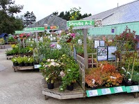 Thompsons Plant and Garden Centre 1115454 Image 1