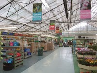 Thompsons Plant and Garden Centre 1115454 Image 2