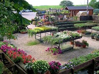 Threaplands Garden Centre and Landscaping Services 1117561 Image 1