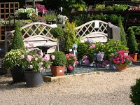 Threaplands Garden Centre and Landscaping Services 1117561 Image 9