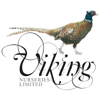 Viking Nurseries Ltd 1106088 Image 5
