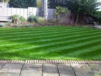 Well Kempt Landscapes and Garden Maintenance. 1106588 Image 9