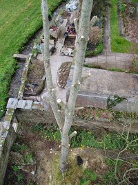Woodleigh Tree Surgeons 1118684 Image 3