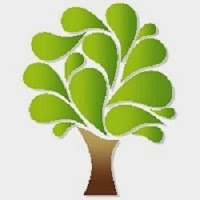 3C Tree Care Ltd 1126637 Image 5