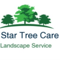 5 Star Tree Care Uk 1104817 Image 2