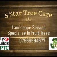 5 Star Tree Care Uk 1104817 Image 5