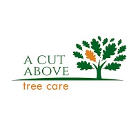 A Cut Above Tree Care 1126562 Image 1
