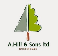 A Hill and Sons Ltd 1106635 Image 7