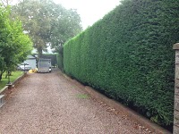 A M Landscape and Contract Gardener 1105101 Image 3