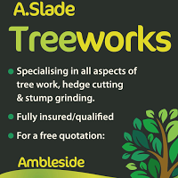 A Slade Treeworks 1117874 Image 8