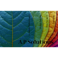 A.P Solutions 1119720 Image 4