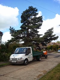 A.P. Stephenson Tree Surgery and Fencing 1123445 Image 0