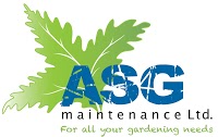 ASG Maintenance 1106963 Image 0