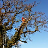Abbey Tree Services 1126007 Image 0