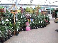 Abercorn Plant and Garden Centre 1118859 Image 1