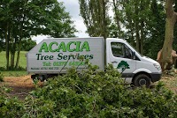 Acacia Tree Services 1130178 Image 0