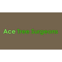 Ace Tree Surgeons 1108055 Image 0