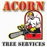 Acorn Tree Services 1111107 Image 6