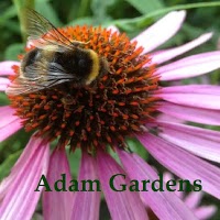 Adam Gardens   Garden Services 1105131 Image 1