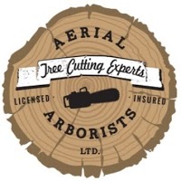 Aerial Arborists Ltd 1115125 Image 0
