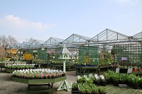 All In One Garden Centre Knutsford 1103873 Image 3
