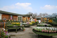 All In One Garden Centre Knutsford 1103873 Image 5
