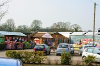 All In One Garden Centre Knutsford 1103873 Image 9