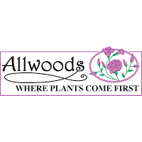 Allwoods (Hassocks) Ltd 1109475 Image 7