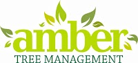 Amber Tree Management 1131251 Image 1