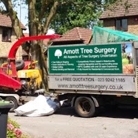 Amott Tree Surgery Ltd 1127217 Image 1
