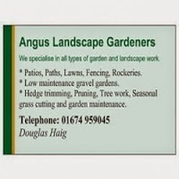 Angus Landscape Gardeners 1117383 Image 0