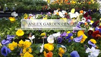 Anlex Garden Centre 1129441 Image 9