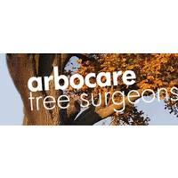 Arbocare Tree Surgery Ltd 1131021 Image 4