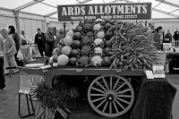 Ards Allotments 1108767 Image 5