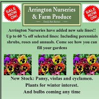 Arrington Nurseries 1103967 Image 2