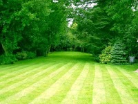 Simon Rudd Landscape Arthur & Simon Landscaping in Kirkcaldy, Fife KY1 2DP