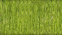 Artificial Grass Direct Ltd 1122008 Image 0