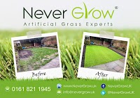 Artificial Grass Manchester Never Grow 1130137 Image 2
